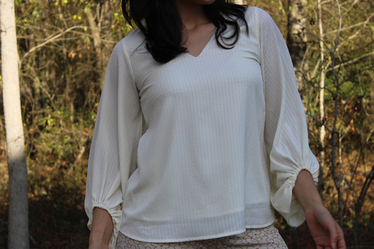 Textured Balloon Sleeve Blouse